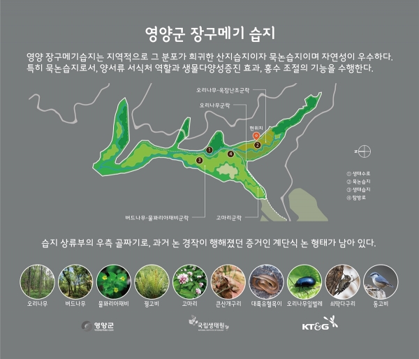 KT&G가 지난 1월 국립생태원과 함께 경북 영양군에 위치한 ‘장구메기 습지’의 보존 공사를 완료했다. 사진은 경북 영양군에 위치한 ‘장구메기 습지’의 안내판 이미지(사진=KT&G)