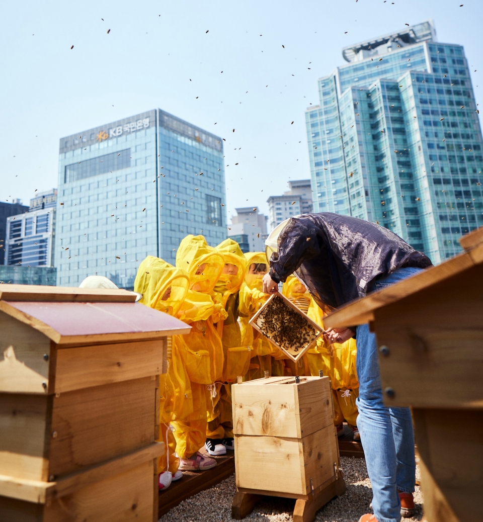 KB금융그룹 직원 가족들이 KB국민은행 본관 옥상에 설치된 ‘K-Bee’ 도시 양봉장에서 벌 키우기 체험 활동을 하고 있다. (사진=KB금융)